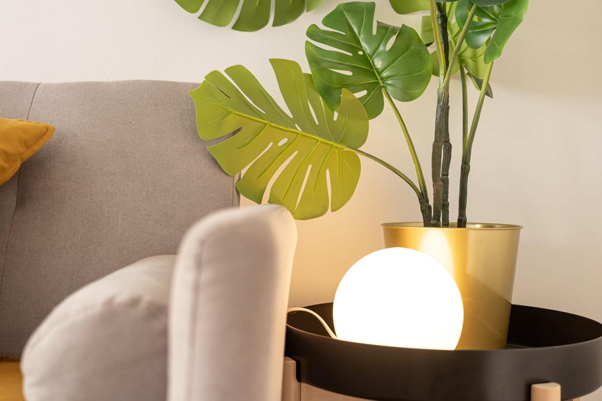 Lapa Stylish Apartments Lisboa 外观 照片
